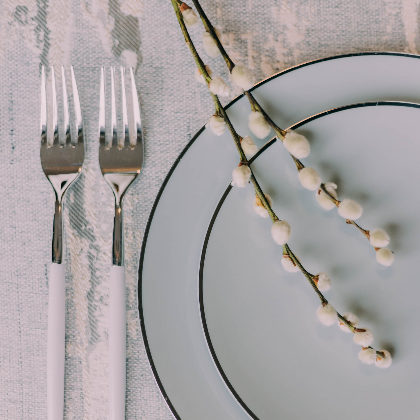 10" Classic Sage Design Plates (10)