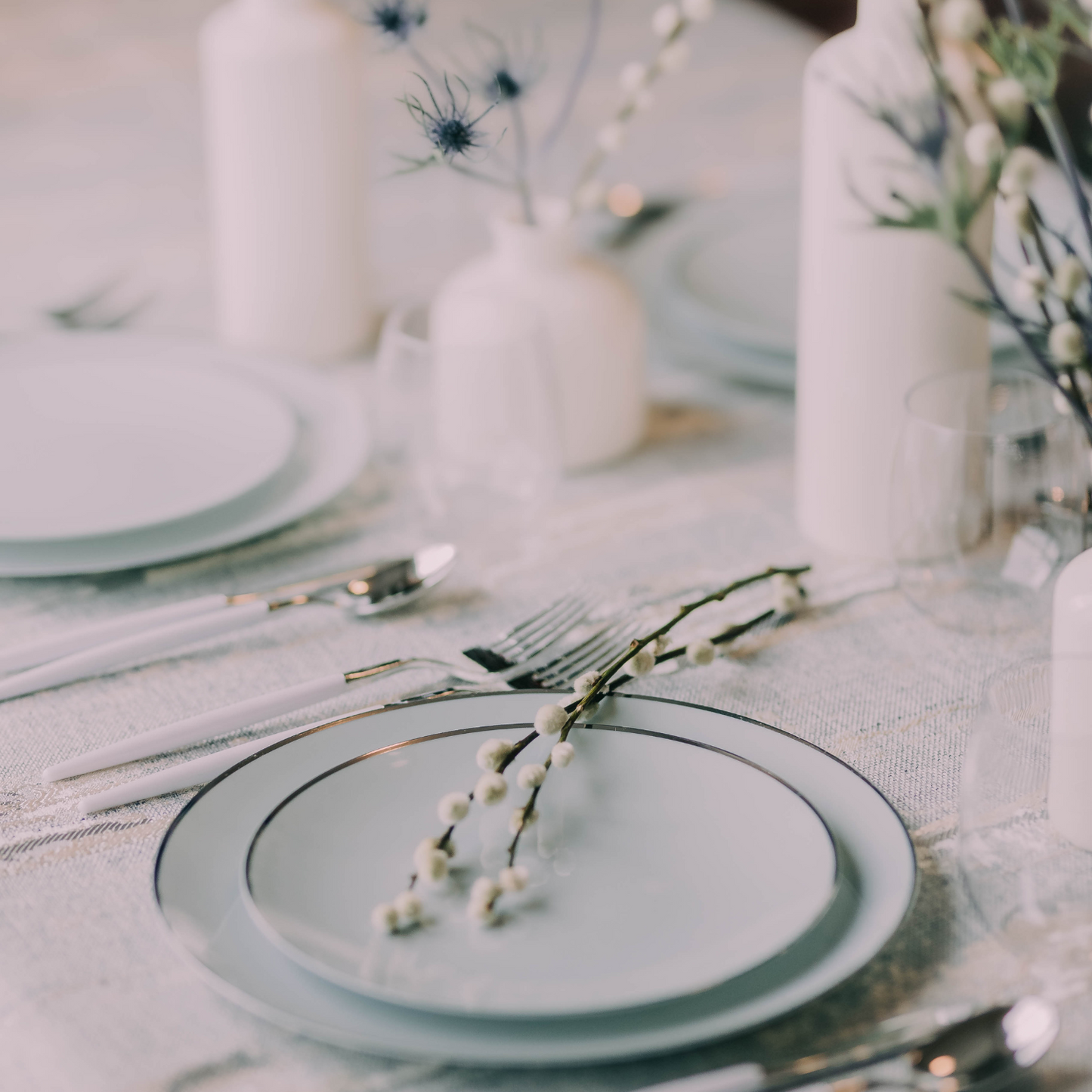 10" Classic Sage Design Plates (10)