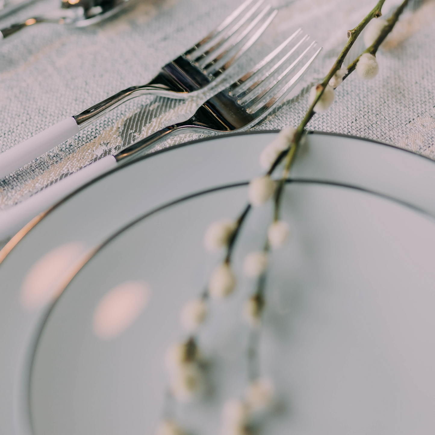 10" Classic Sage Design Plates (10)