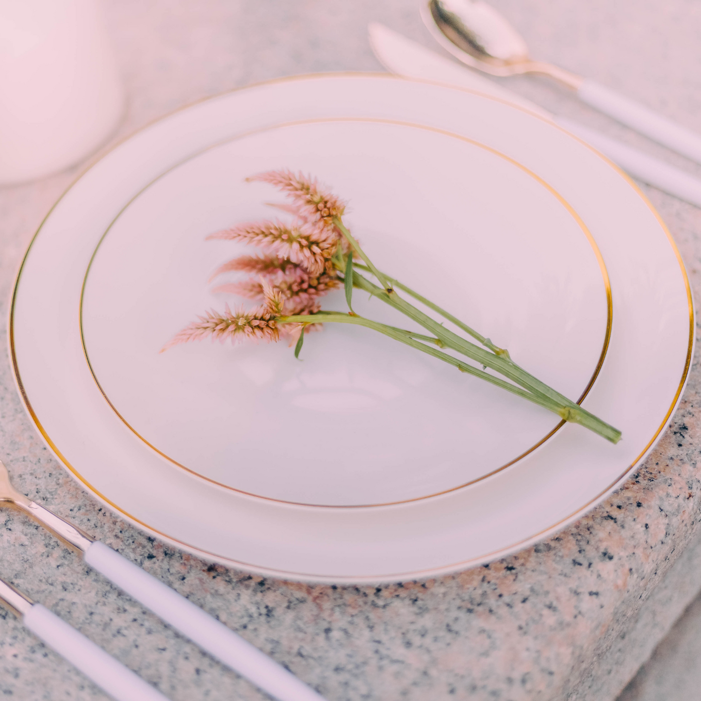 10" Classic Ivory Design Plates (10)