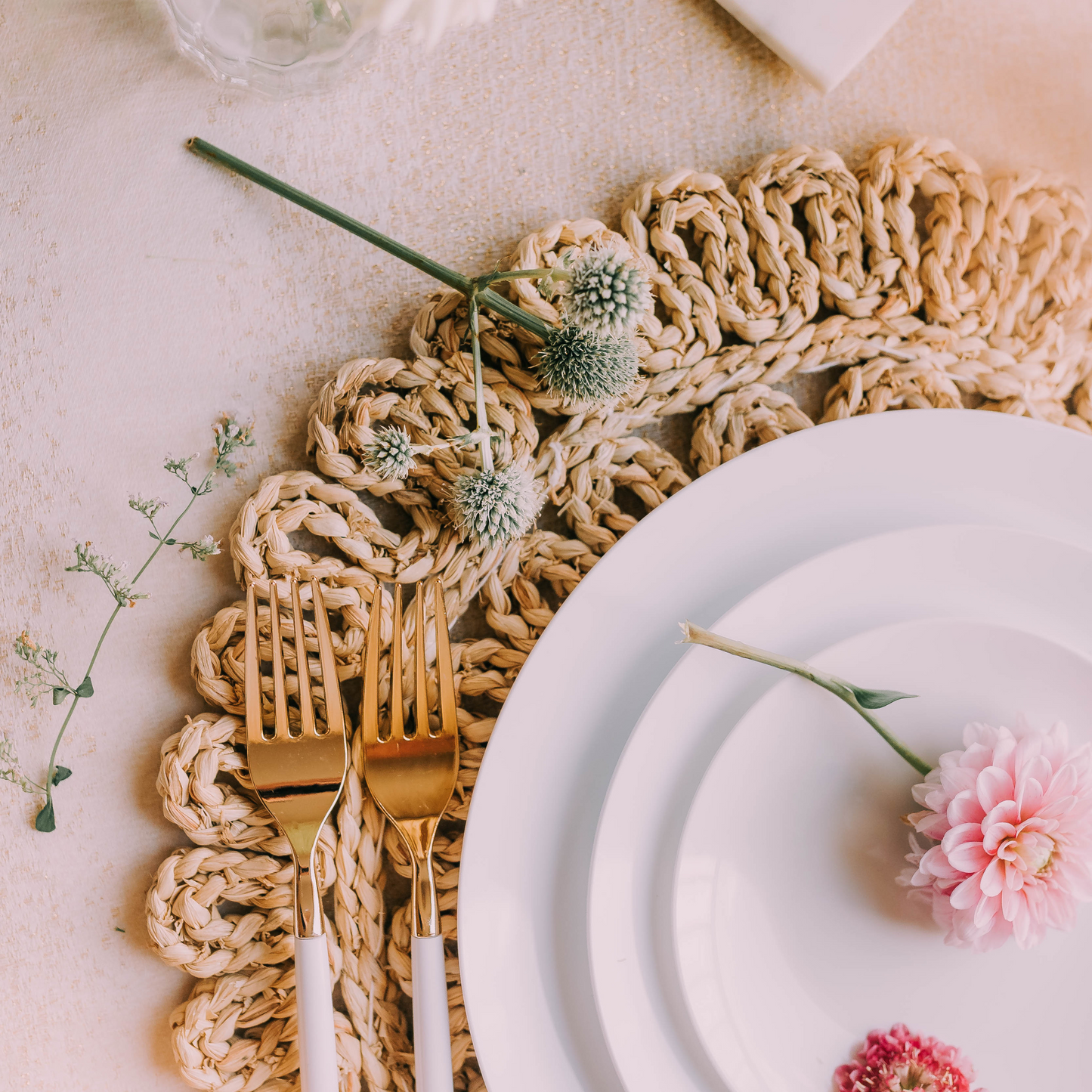 10 In. Trend White Plastic Plates - 10 Ct.