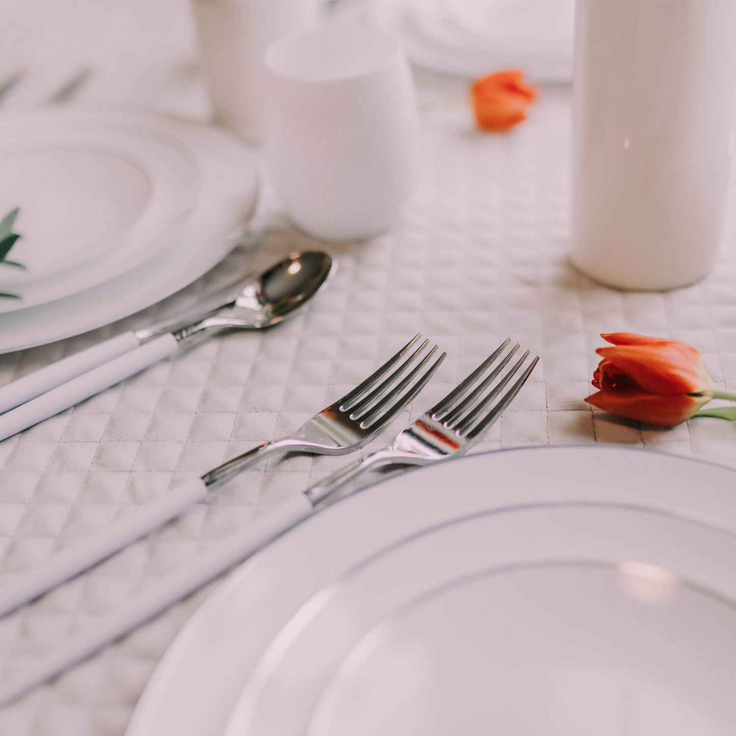 10" Classic Silver Design Plates (10)