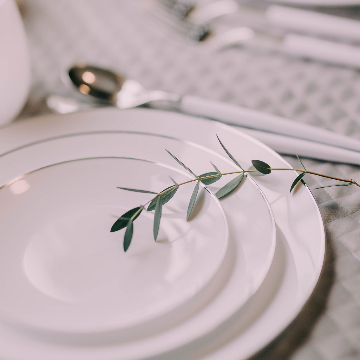 10" Classic Silver Design Plates (10)
