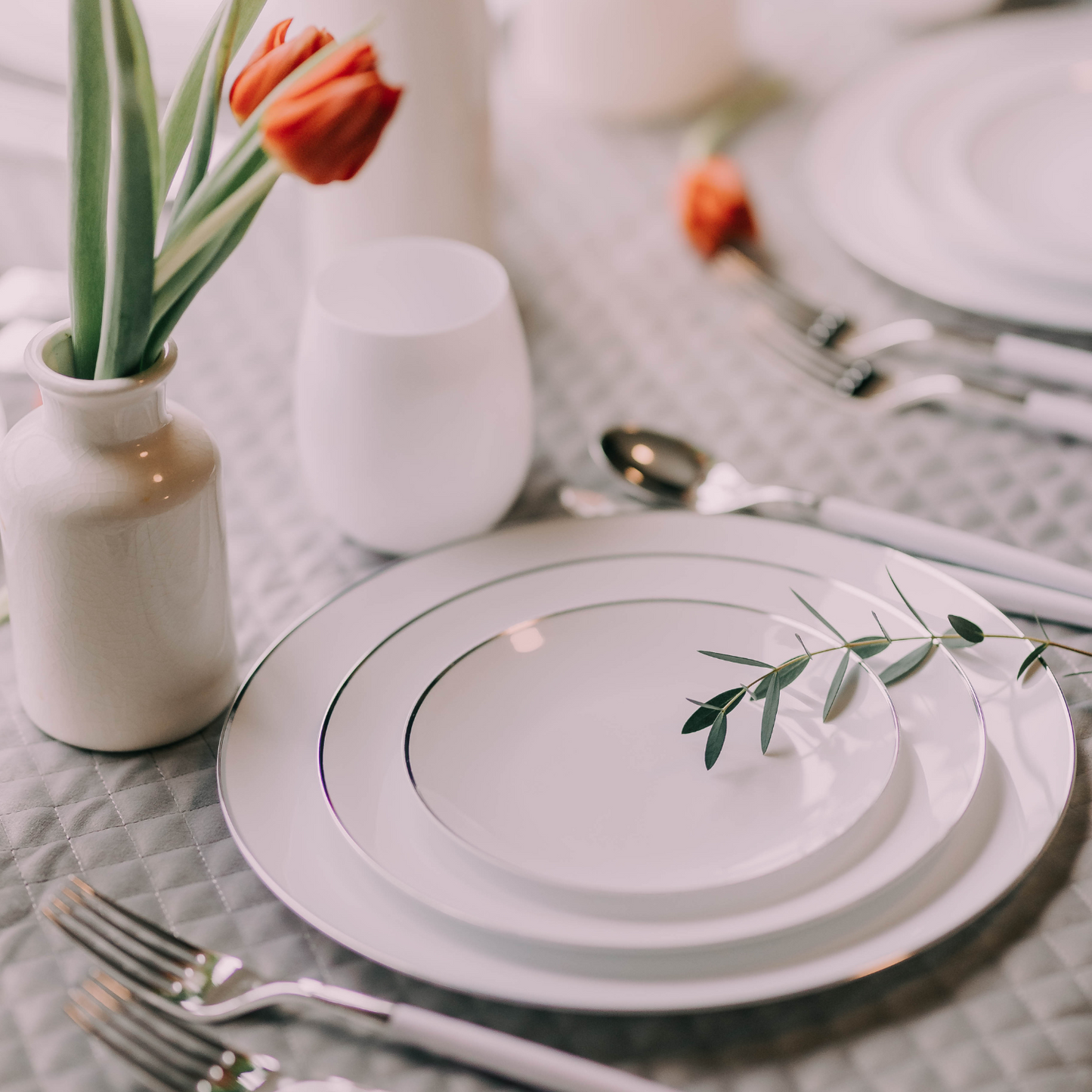 10" Classic Silver Design Plates (10)