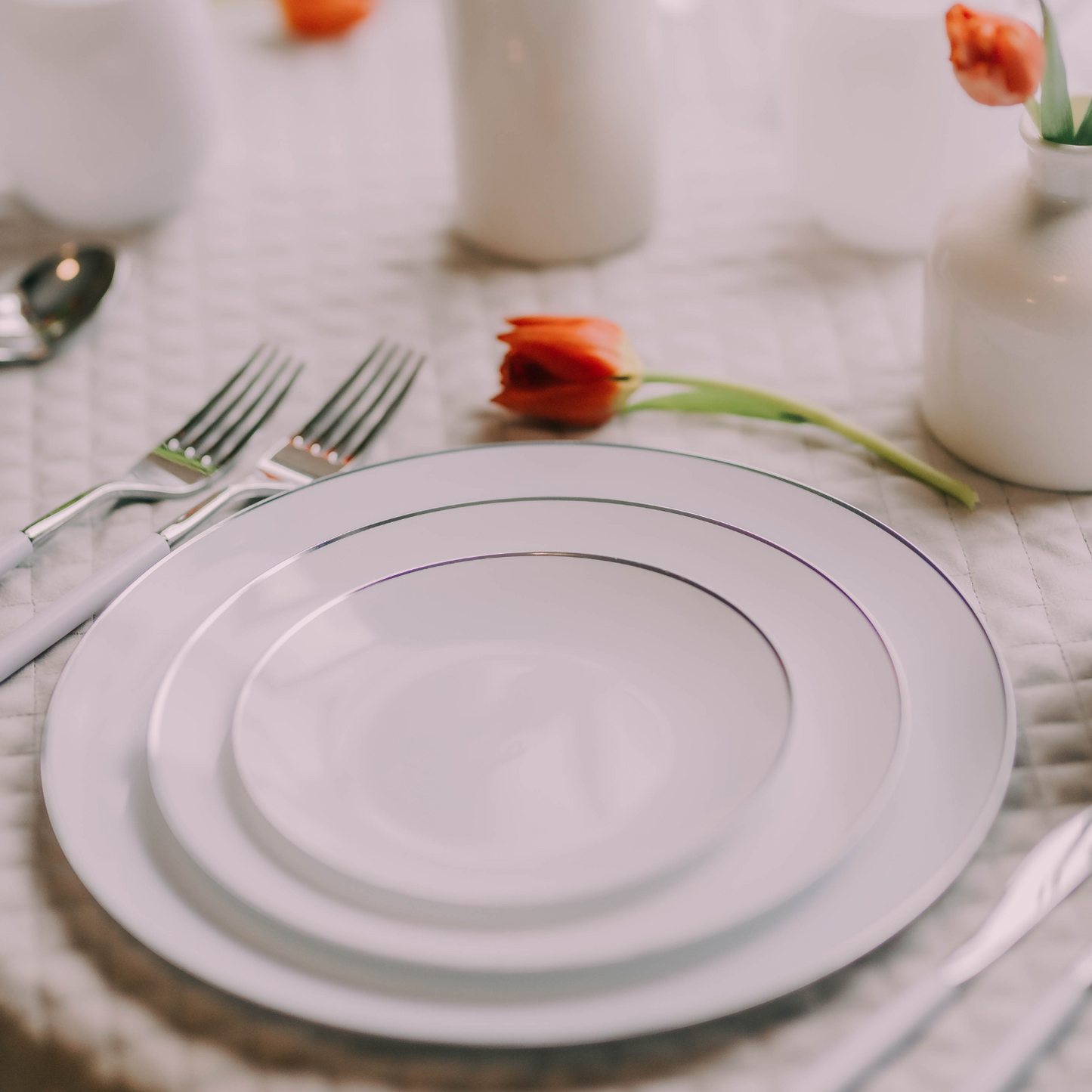 10" Classic Silver Design Plates (10)