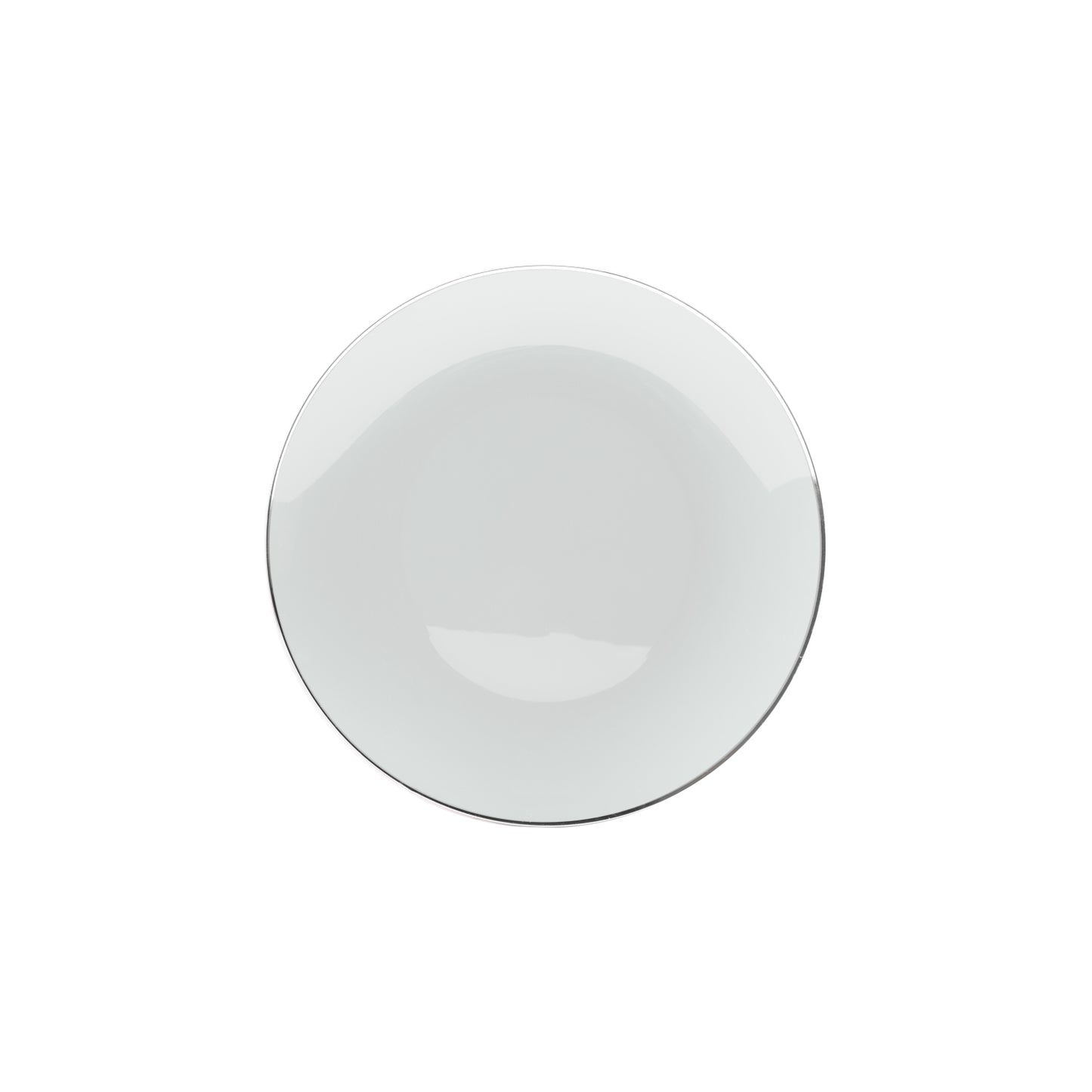 Case of 12 - 10" Classic Sage Design Plates (10)