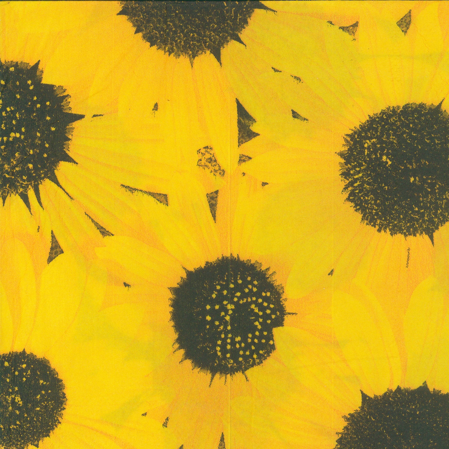 Sunflower Printed Paper Napkins - 20 Ct. (1440)
