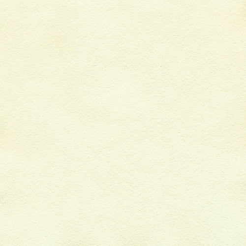 9 In. Ivory Plastic Plates - 50 Ct.