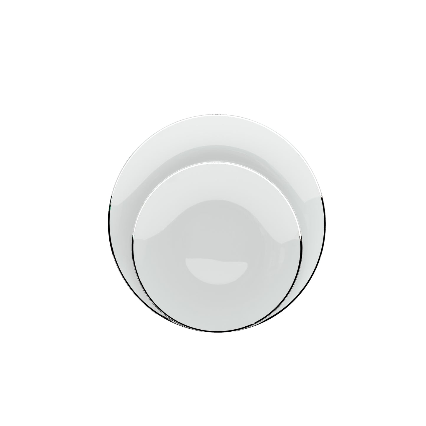 Case of 12 - 10" Classic Sage Design Plates (10)